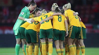 Wales must just 'deal with' Montenegro pitch switch .